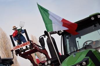 CASTELLINO (ANCORA ITALIA): TOTALE ED INCONDIZIONATA SOLIDARIETÀ AGLI AGRICOLTORI DI ORTE