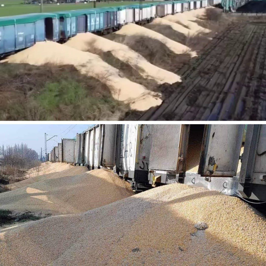 Agricoltori polacchi contro il grano ucraino